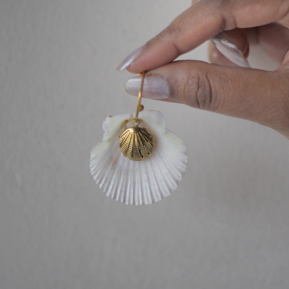 Coastal Muse Shell Hoops