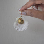Coastal Muse Shell Hoops