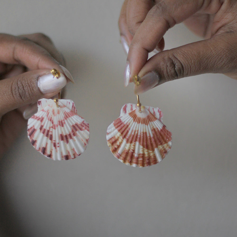 Coastal Muse Shell Hoops