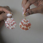 Coastal Muse Shell Hoops