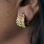 Gilded Embrace Earrings